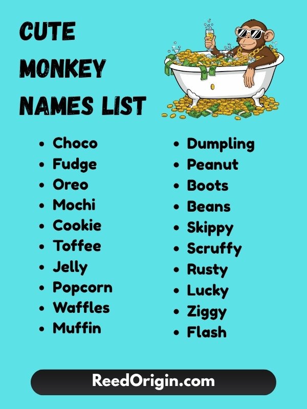 Cute monkey names list