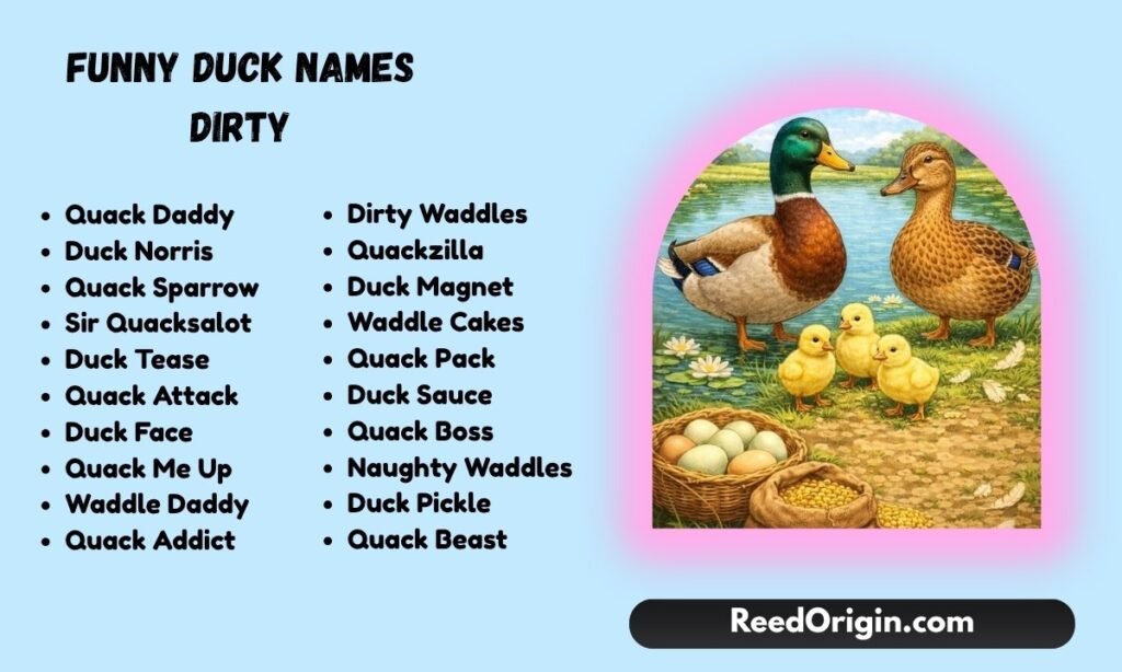 Funny duck names dirty