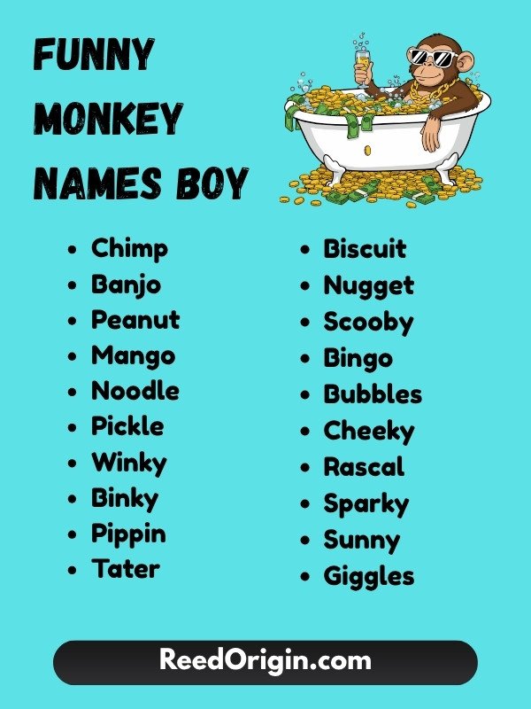 Funny monkey names boy