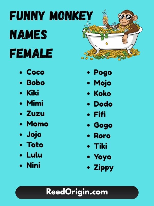 Funny monkey names female