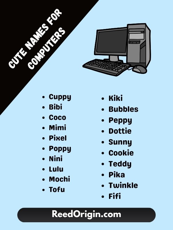Cute names for computers