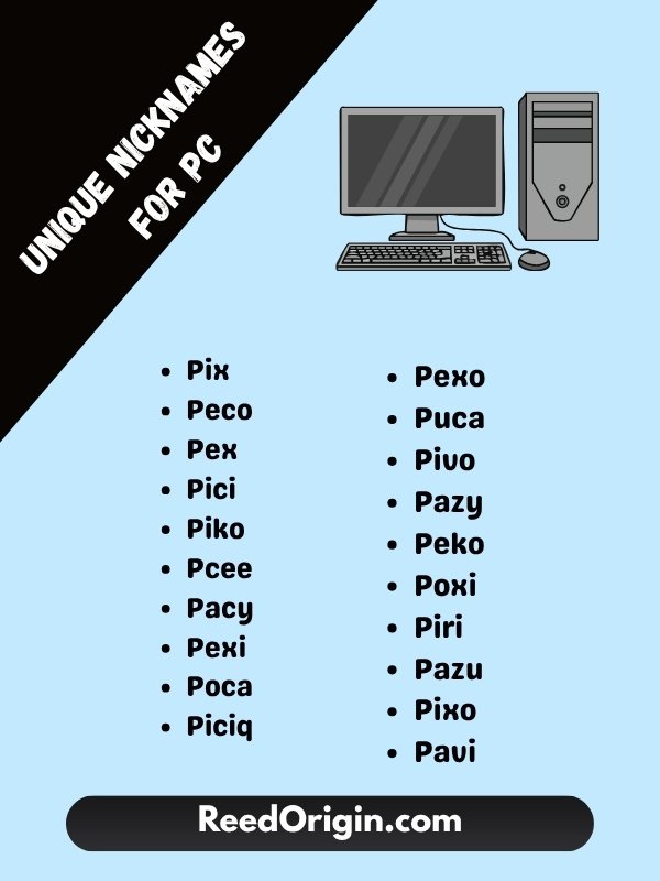 Unique nicknames for PC