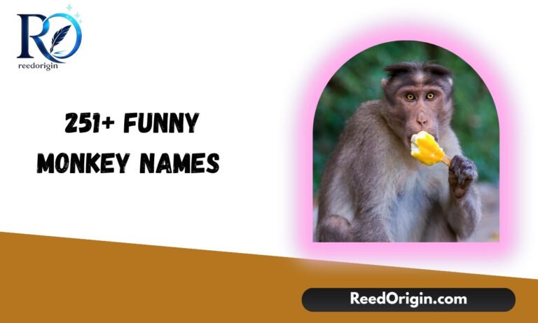 251+ Funny Monkey Names That Will Make You Laugh
